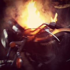 life of birds rehearsal no. 1