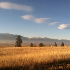 Lucky Lucky White Horse