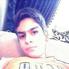 sina_zl