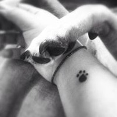 Estefania Alexandra'