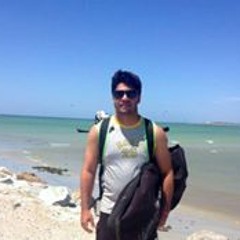 Hamilton Brasil Júnior