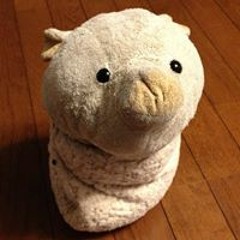 Taiki Matsuga