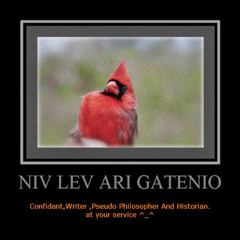 Niv Lev Ari Gatenio