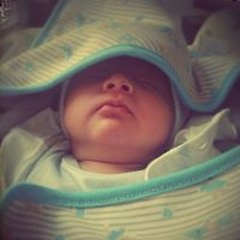 Stalin David G Fiallos