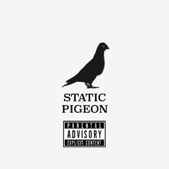Static Pigeon