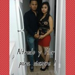 alfredo