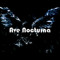 ave nocturna