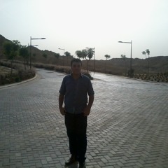 Mostafa G Amin