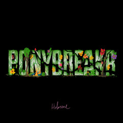 PONYBREAKR