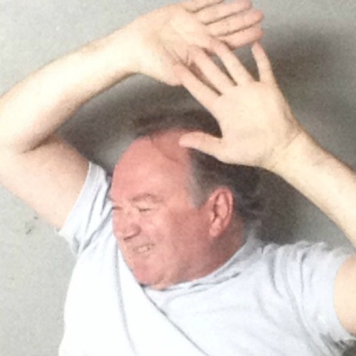 Austin Powers Voice Over and Cover