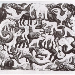 The Sleeveless Vests