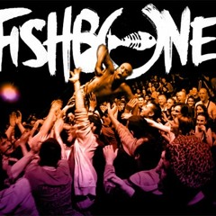DJ FISH BONE 1