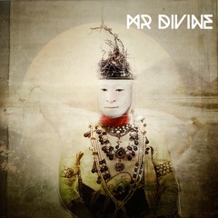Mr. Divine
