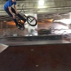Gavin Odonahue