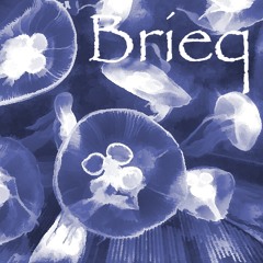 Brieq