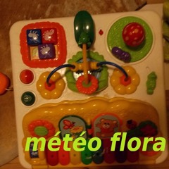 Météo Flora Radio Show