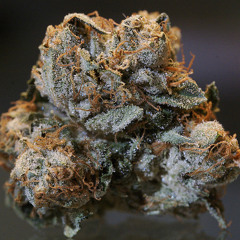 Smokeweedeveryday890