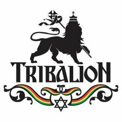 Banda Tribalion