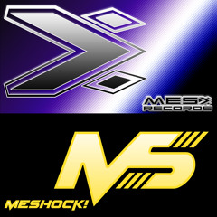 MES Records - MEShock!