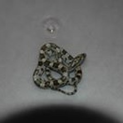 Robert Fritzenschaft