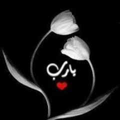 Hossam Rabea 1