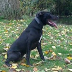 Baco010