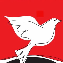 Plymouth Jazz and Justice