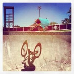 Chase Dansereau