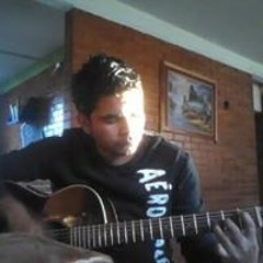 Stone Temple Pilots   Seven Caged Tigers   Acoustic Cover