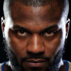 Deshawn Stevenson