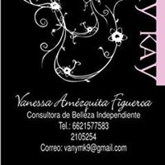 Vane Amezquita Figueroa