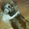 user174097618
