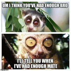 Jordan Medhurst