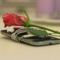 jooury_reem
