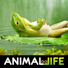 Sound Off Inspirational Music Cinematic Relaxing