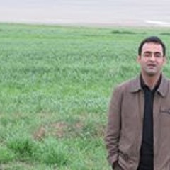 Mostafa Ghasemzadeh 1