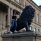 sallylion