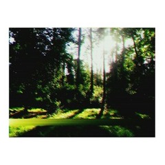 schmidtkylianschmidt