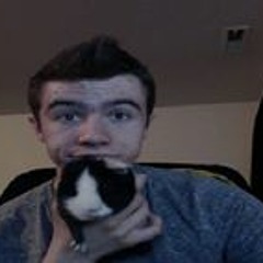 Nicholas Fitzgerald 7