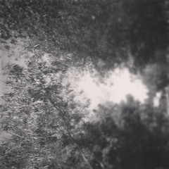 Dhoop kinaray