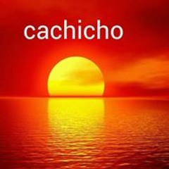 Cachicho Diaz