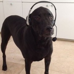 Ivan N 1