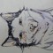 bearjun