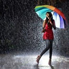 Lynn Wilkinson Ostiguy