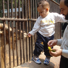 Sayed Rahmany
