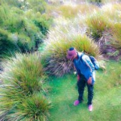 Dishan