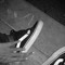 Fersure
