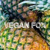 the-plain-vegan-fox