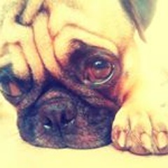 Rahul Vishwakarma 15