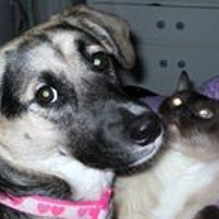 Deborah Gibson Morgan